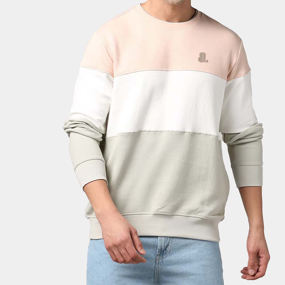 Men Block Sweat Shirt